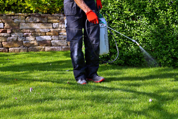 Outdoor Pest Control in Rosebud, TX